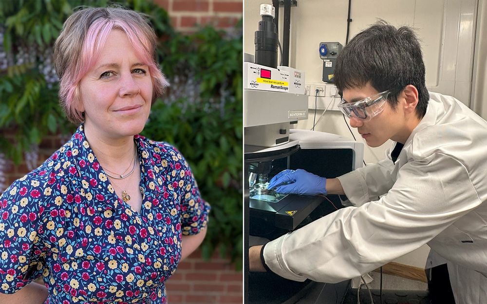 Professor Zoe Waller and Dr Guanjie He