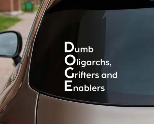 https://www.etsy.com/listing/1861980419/doge-dumb-oligarchs-grifters-and