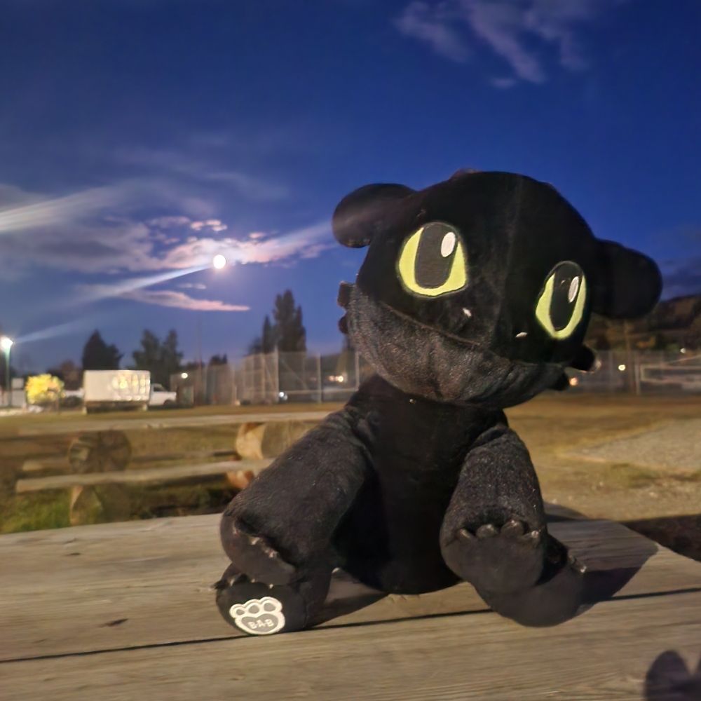 Photo of a toothless build a bear sitting on a wooden picnic table. The night sky is dark with a few clouds, the mood shining brightly in the photo 
