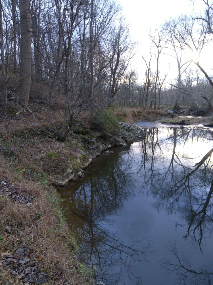 A path by a still stream in November, with bare trees reflected in the water.