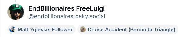 Screenshot of labels under the account name to the person I'm replying to. One says "Matt Yglesias Follower" the other says "Cruise Accident (Bermuda Triangle)".