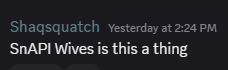 discord message from yesterday at 2:24 PM: "SnAPI Wives is this a thing"