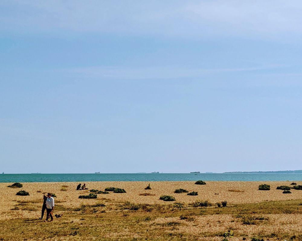 A view of the coast from nearby the fort