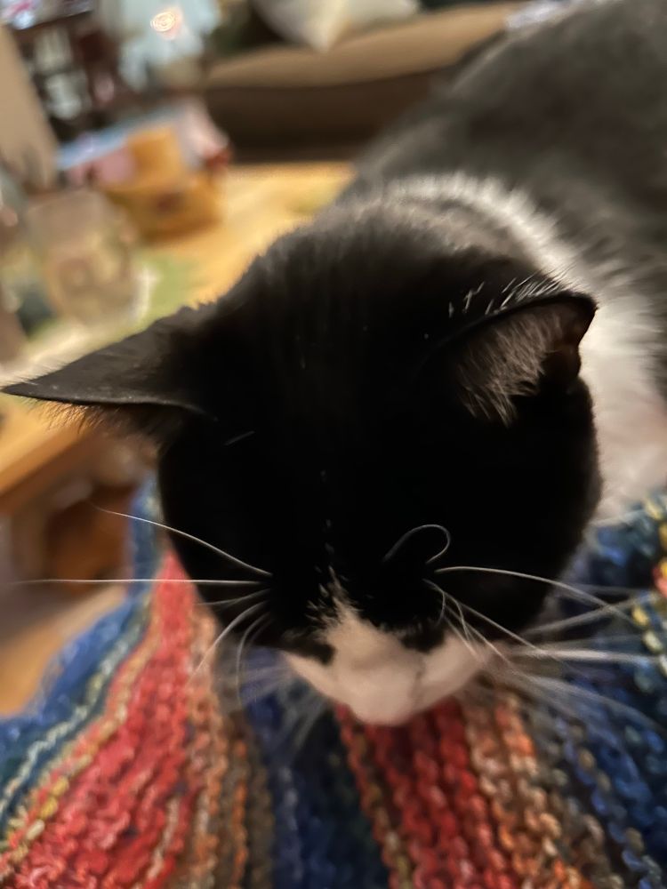 She is very interested & wants to know why I’m not finished yet 