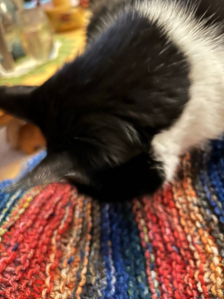 She sniffs she loves 