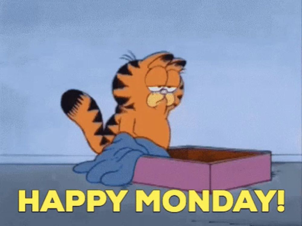 garfield is sitting in a pink box with the words `` happy monday ! ''