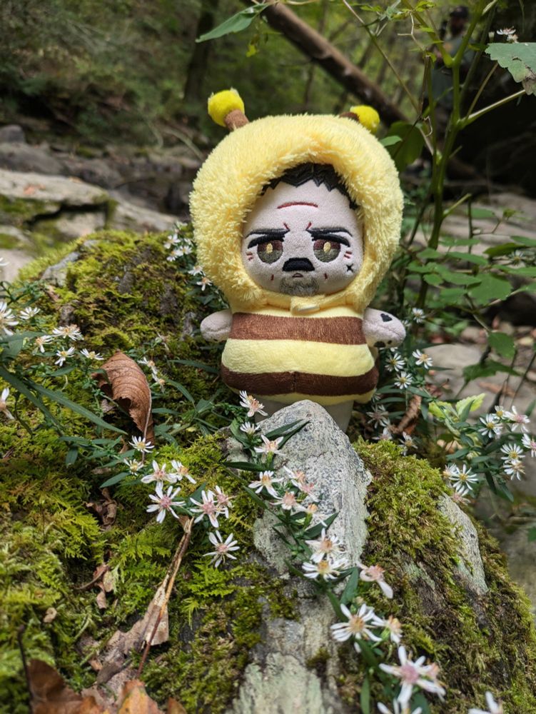 Izzy doll by @imrights dressed in a bee costume. He is standing among rocks, moss, fallen leaves, and a trail of delicate white flowers. 