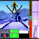 I.F. Ski Jumping in game screenshot