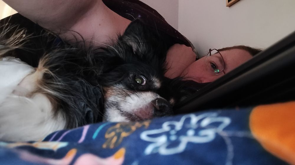 Selfie of myself in bed with Bee (mini Australian Shepherd) staring at the camera