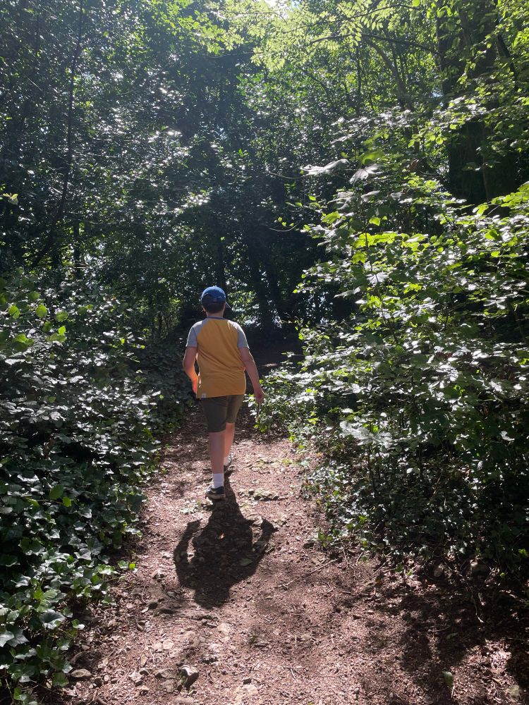 Woodland walk with boy in a yellow tshirt walking with his back to the camera
