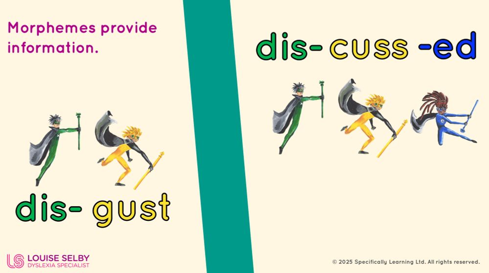Slide with cream background divided vertically by a green stripe. On the left, the heading in magenta reads “Morphemes provide information.” Below it are two illustrated superhero-style characters representing morphemes, next to the word dis-gust (with dis- in green and gust in yellow). On the right, three similar superhero characters correspond to the morphemes in dis-cuss-ed (dis- in green, cuss in yellow, -ed in blue). Bottom left corner shows the Louise Selby Dyslexia Specialist logo in magenta; bottom right reads © 2025 Specifically Learning Ltd. All rights reserved.