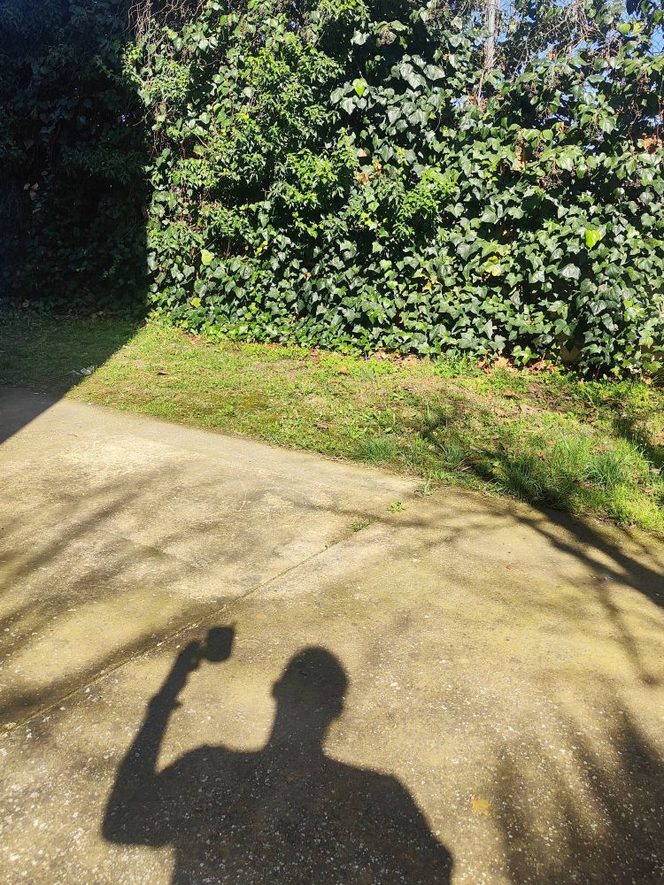 Sombra de mi mismo con taza de café en mano. 