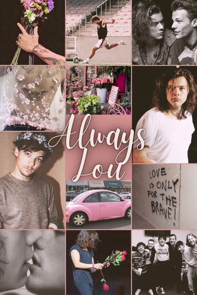A mood board collage featuring soft pink and floral themes for my new completed story. Elements are: a bouquet of colourful flowers held by a Harry Styles, Louis Tomlinson kicking a soccer ball in a stadium, Harry's creepy love stare at Louis as a manip, a pink Volkswagen Beetle parked outside a florist shop, a floral lace tattoo, a storefront filled with vibrant flowers, manip of Louis wearing a flower crown, graffiti reading "Love is only for the brave!", a close-up of two people kissing, Harry with long hair holding a red rose and a group photo of Louis with his band. The word "Always Lou" is written in cursive text at the center. 