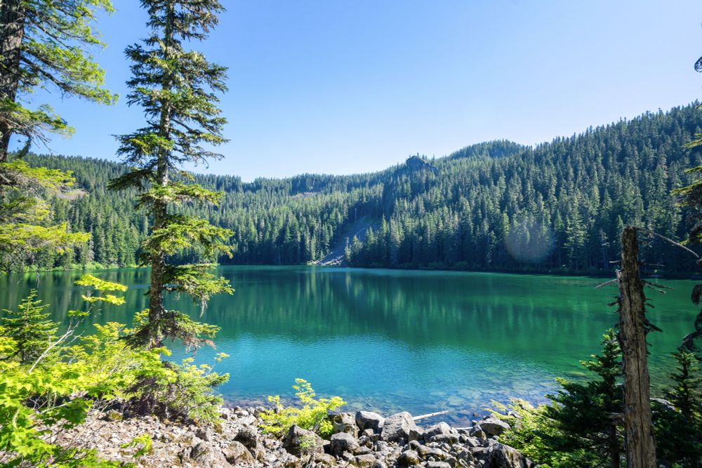 Picture of Serene Lake