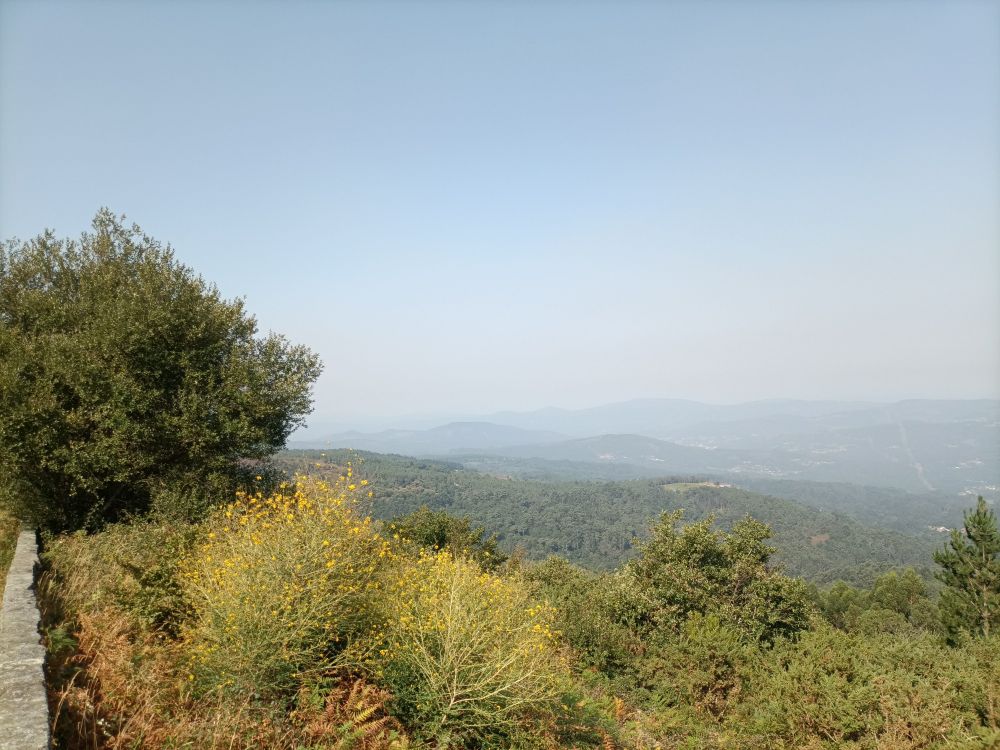 Vista desde o miradoiro do Coveliño, o ceo está cheo do fume dos incendios destes días e as vistas non son claras. Hai unhas árbores na esquerda e no fondo unha sucesión de vales e montañas ata onde da a vista. 