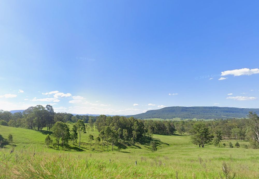 Hills covered in long native grasses roll off into the distance, punctuated by clusters of young gum trees. In the distance the low dark rise of a taller hill can be seen, against a picturesque blue sky.