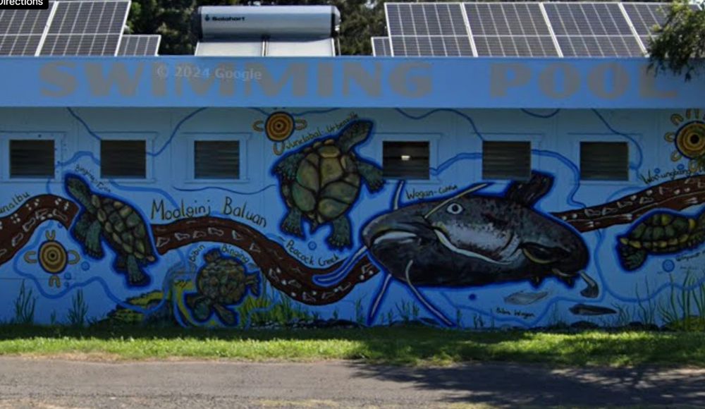 Local swimming pool exterior decorated with a mural that features turtles, an alarmingly large catfish and other lil fish, along with elements of Australian indigenous art.