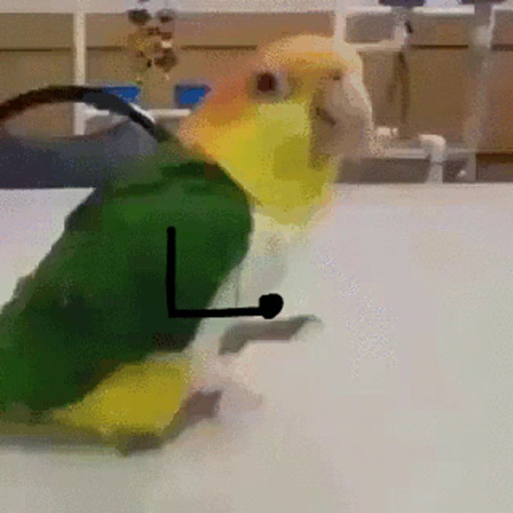 a yellow and green parrot is standing on a white surface with a black l on the bottom