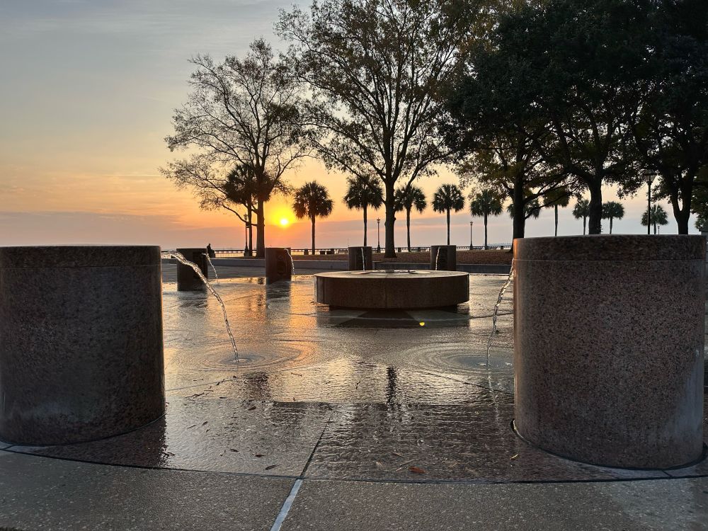 Fountain in Charleston with trees and sunrise in background. 