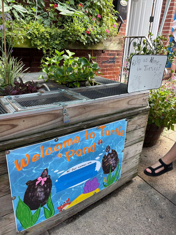 Welcome to turtle pond sign in front of turtle tank updated with turtle names, to be revealed with masking tape removal 