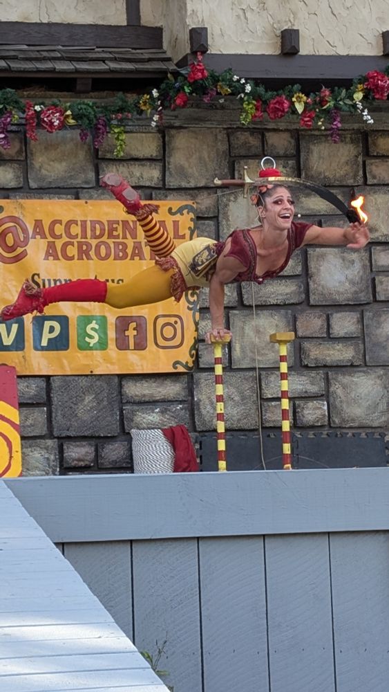 A acrobat is standing on one hand while balancing a flaming sword on her head. Behind her is a banner that reads "Accidental Acrobatics" 
