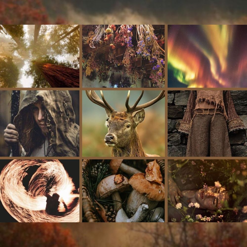 An aesthetic board featuring a deer in the center surrounded by warm, autumn colors. Featuring images of nature, foraging, wild magic, humble clothing, and harmony with nature.