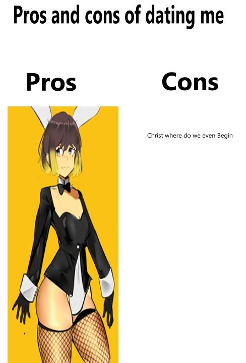 Pros and cons of Dating me. Pros *Picture of my vtuber in a bunny suit* Cons "Christ where do we even begin"