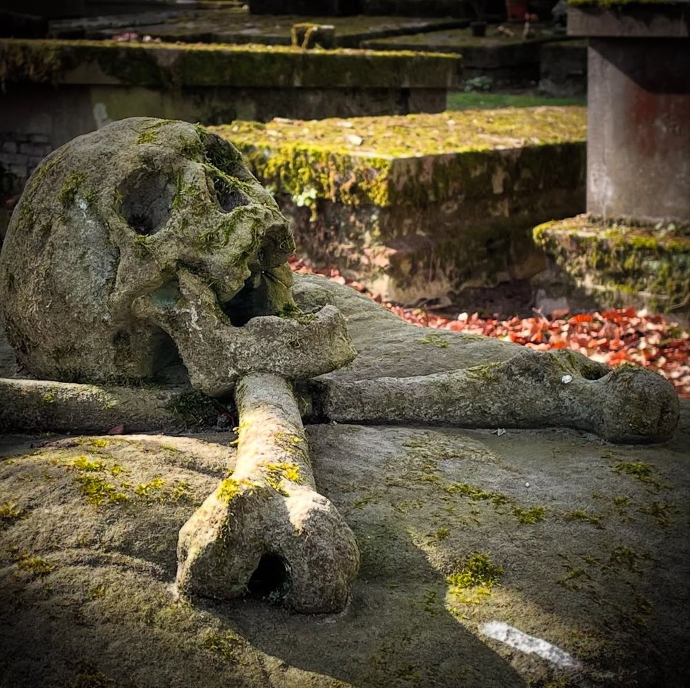 A grave marker of a skull with jaw open sat atop crossed femurs viewed from the side.  There is some moss