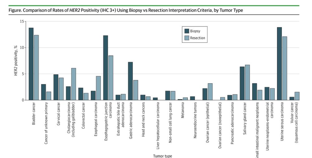 Bar graph comparing HER2 positivity rates by tumor type using biopsy vs. resection. Bladder and uterine serous carcinoma show high positivity. Source: IHC 3+ data. Resection is generally lower than biopsy. 