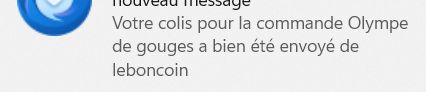 envoi Olympe de Gouges sur le bon coin