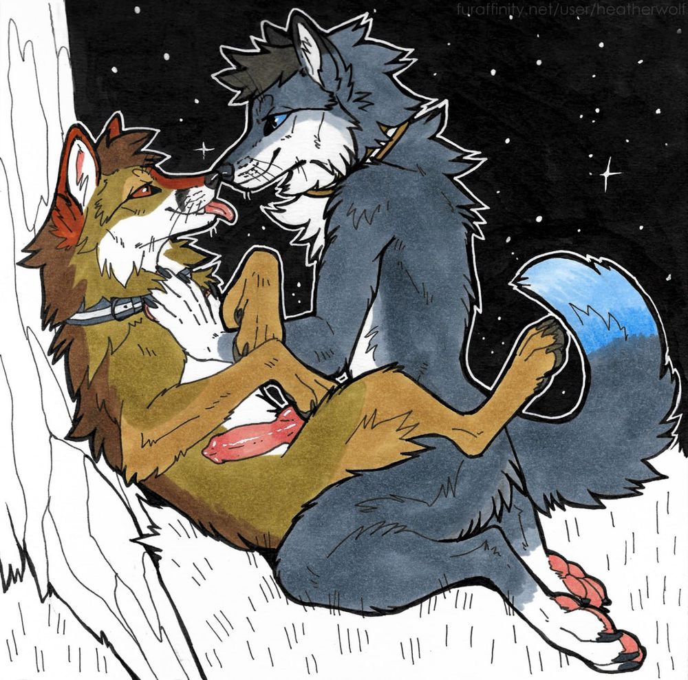 canine love