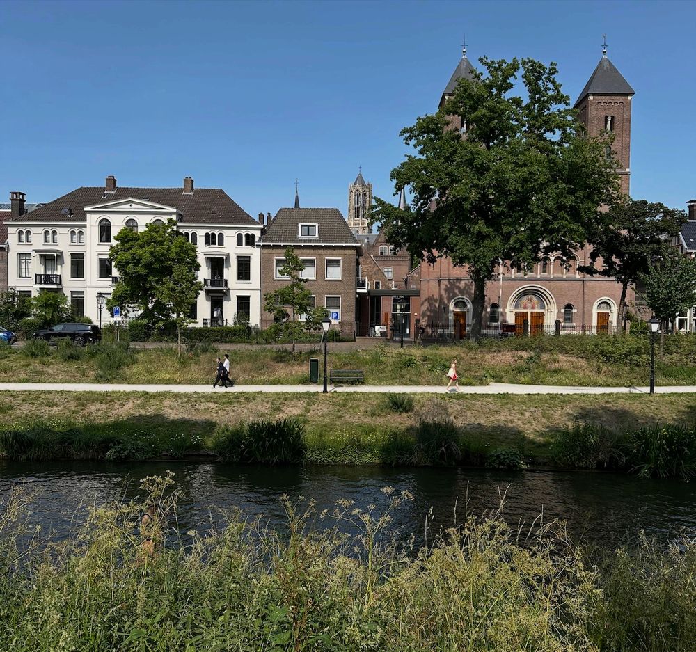 Water with green waterfront with footpath, in foreground flowers. In the background facades of buildings, a tree.