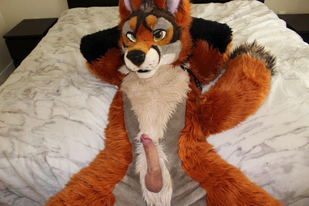Werefox laying on bed with bone 