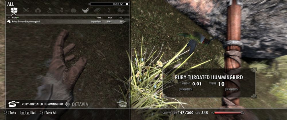 A dead hummingbird in Skyrim