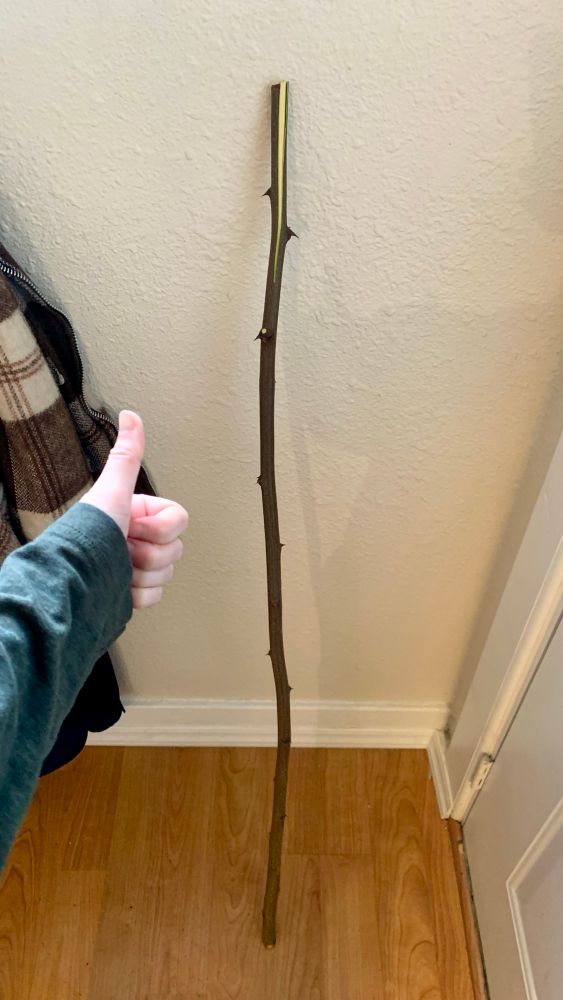 Long stick with thumbs up 