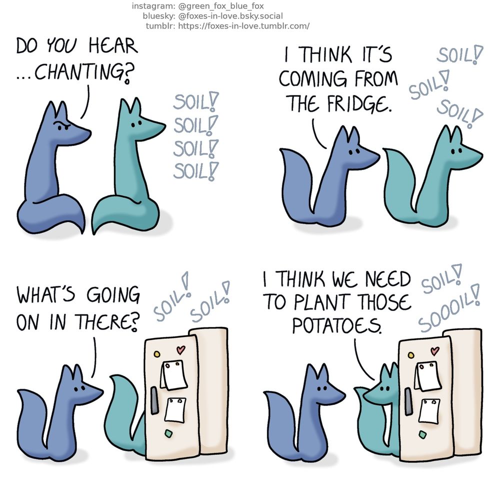 A comic of two foxes, one of whom is blue, the other is green. In this one, Blue and Green hear something strange, and turn to look towards the sound of the voice, puzzled.
Blue: Do you hear ...Chanting?
Faint, omnious chanting: Soil! Soil! Soil! Soil!

Blue and Green follow the sound.
Blue: I think it's coming from the fridge.
Distant chanting: Soil! Soil! Soil!

Blue and Green are at the fridge, Blue sits back as Green peers inside.
Blue: What's going on in there?
Chanting, emenating from the fridge: Soil! Soil!

Green turns to look at Blue, and the two stare at each other. The demanding chant from the fridge continues.
Green: I think we need to plant those potatoes.
Potatoes, chanting: Soil! Soooil!