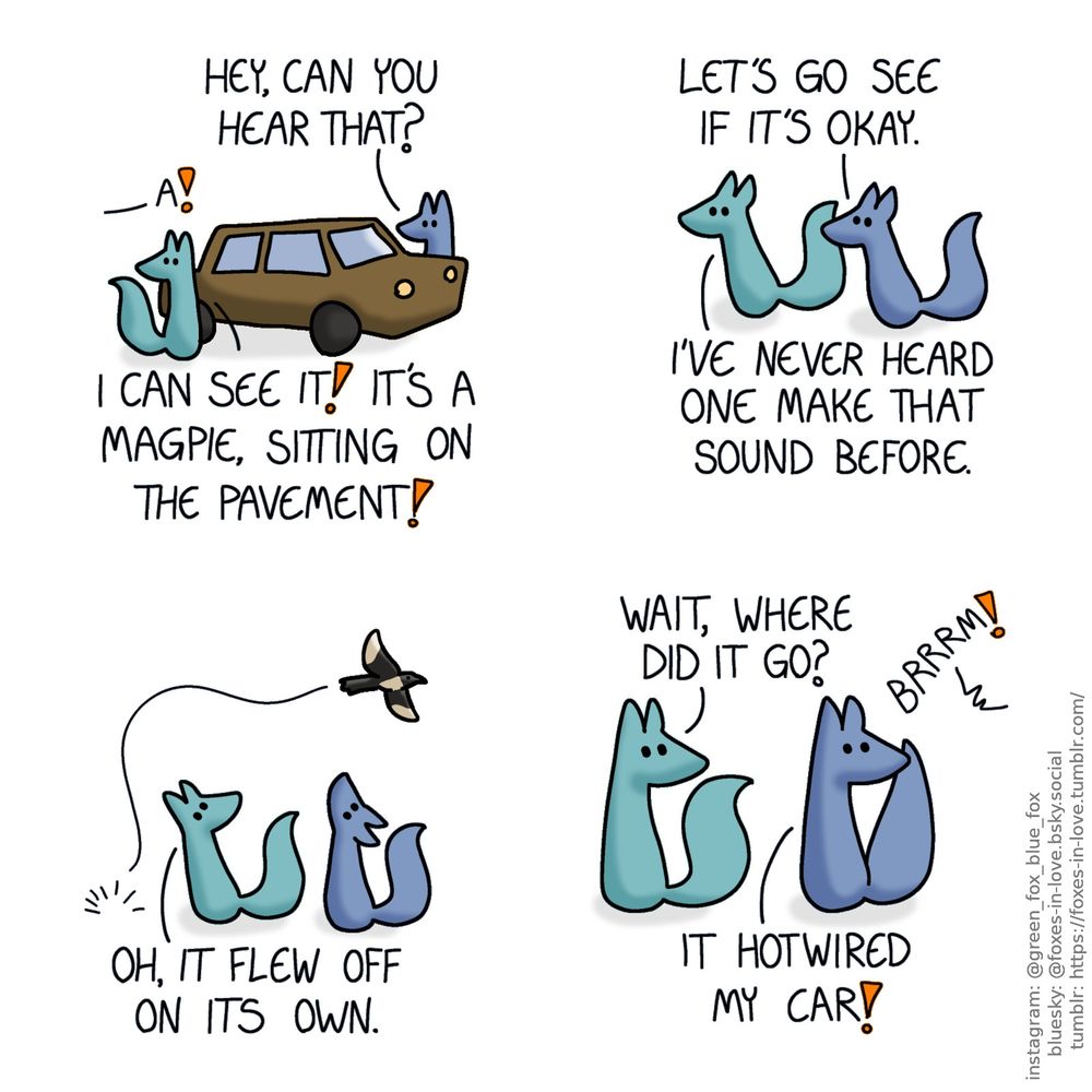 A comic of two foxes, one of whom is blue, the other is green. In this one, Blue and Green are just about to get into the car as they hear a mysterious noise.
Noise: A!
Blue: Hey, can you hear that?
Green: I can see it! It's a magpie, sitting on the pavement!

Blue and Green rush to the bird's aid.
Blue: Let's go see if it's okay.
Green: I've never heard one make that sound before.

Just as Blue and Green are about to reach the magpie, it flies off with perfect ease.
Green: Oh, it flew off on its own.

Blue and Green turn to look at the direction the magpie flew, Green with curiosity and Blue with alarm. There's a sound of a car engine starting.
Green: Wait, where did it go?
Blue: It hotwired my car!