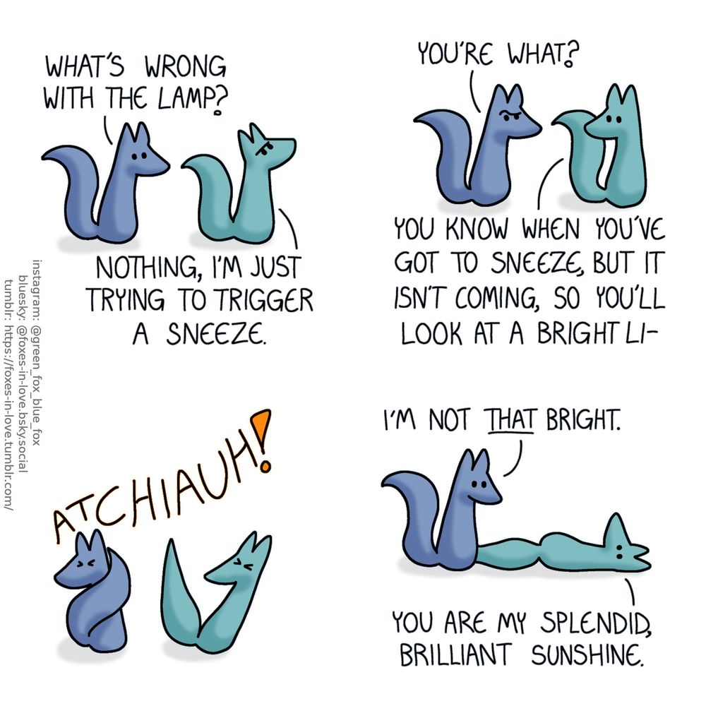 A comic of two foxes, one of whom is blue, the other is green. In this one, Blue walks up to Green, who is staring up to the ceiling with a focused frown.
Blue: What's wrong with the lamp?
Green: Nothing, I'm just trying to trigger a sneeze.

Blue raises an eyebrow in confusion. Green turns to look at him, calmly as if explaining the most natural thing in the world.
Blue: You're what?
Green: You know when you've got to sneeze, but it isn't coming, so you'll look at a bright li-

Green is interrupted and knocked over by a very loud, aggressive sneeze. Blue raises his tail over his face to shield himself from it.

Once the sneeze is over, Blue calmly looks at Green, who is now laying on his back on the floor.
Blue: I'm not that bright.
Green: You are my splendid, brilliant sunshine.