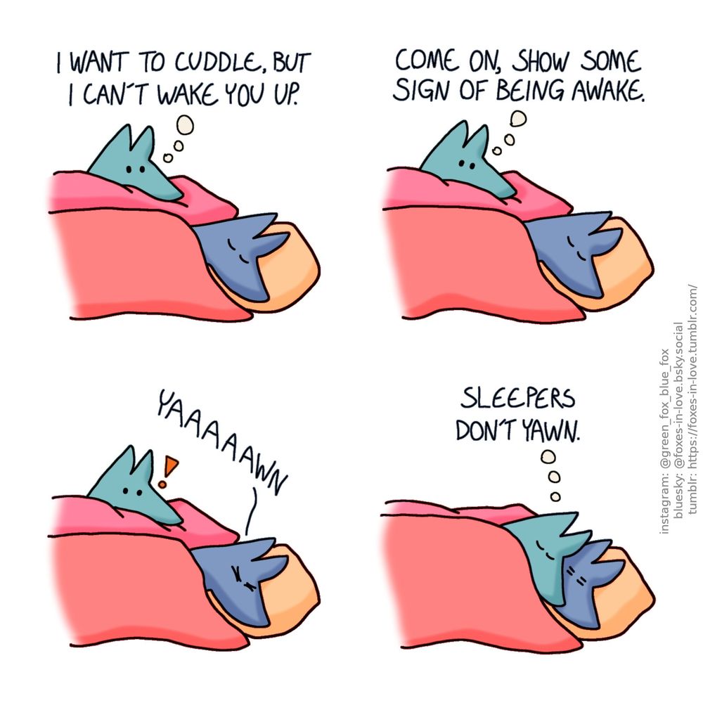 A comic of two foxes, one of whom is blue, the other is green. In this one, Blue and Green are in bed. Blue is asleep, Green is awake and staring at him keenly.
Green, thinking: I want to cuddle, but I can't wake you up.

Green continues staring as Blue shows no indication of being about to wake up.
Green, still in thought: Come on, show some sign of being awake.

Green looks at Blue in excitement as Blue yawns.

Green leaps at the opportunity to cuddle Blue, who seems bleary-eyed but not fully awake.
Green, still in thought: Sleepers don't yawn.