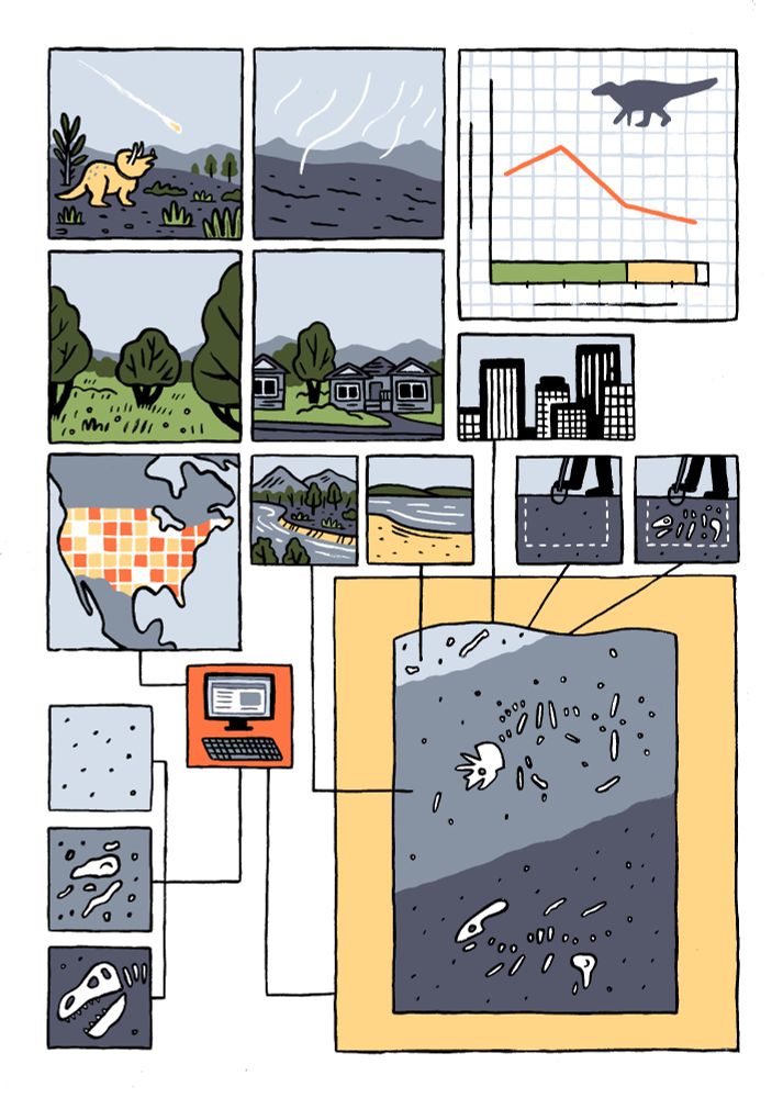 A comic representation of the author's paper published in Current Biology. It features the last days of the dinosaurs, as well as an graphic interpretation of the process of occupancy modelling and the results of the study.