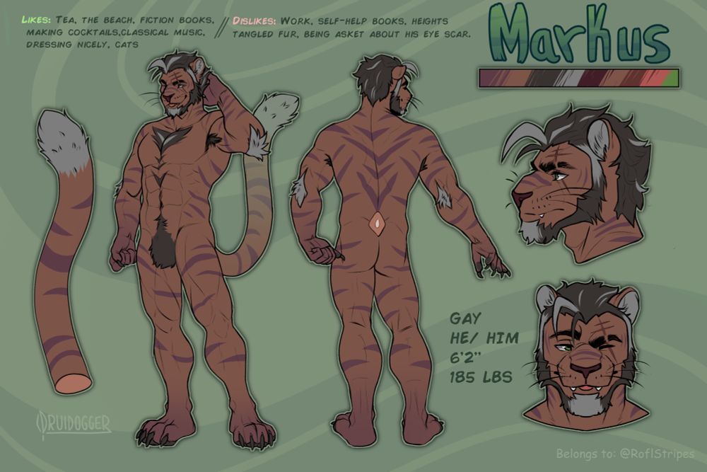 A ref sheet for the tiger Markus, an OC of RoflLion’s designed by Druidogger.