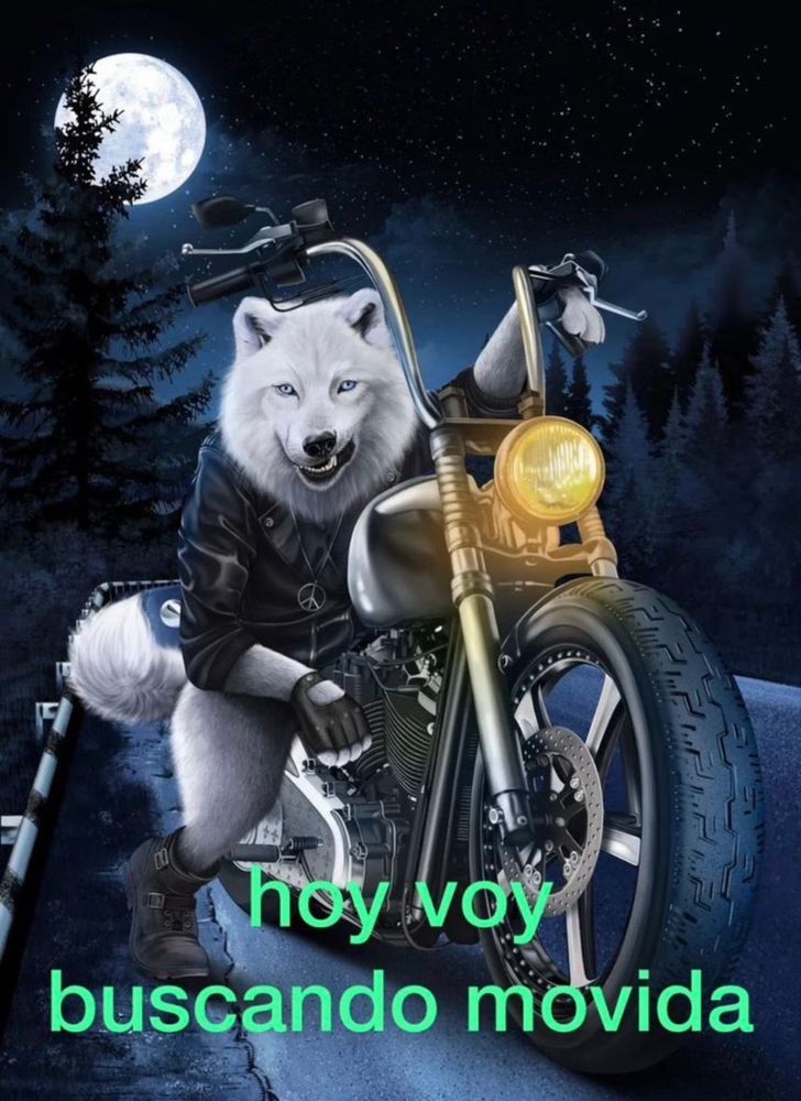 Un lobo blanco antropomórfico bien perrón con chupa de cuero, mitones y botas montado en una Harley Davidson mira a cámara en una noche de luna llena mientras un rótulo sobreimpreso en la parte inferior de la imagen reza "hoy voy buscando movida"