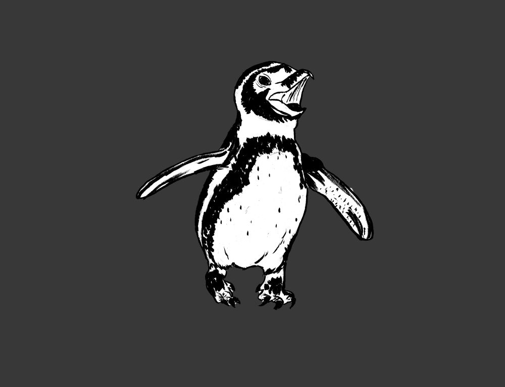 A drawing of a penguin 
She screm 