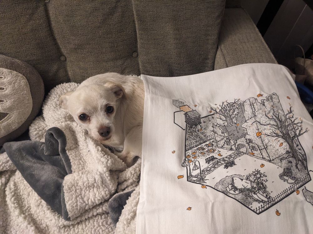 Small white dog beneath a tea towel with a printed design 