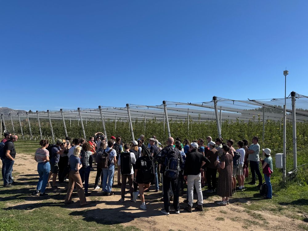 People next to an experimental apple orchard listening to a researcher explain their work