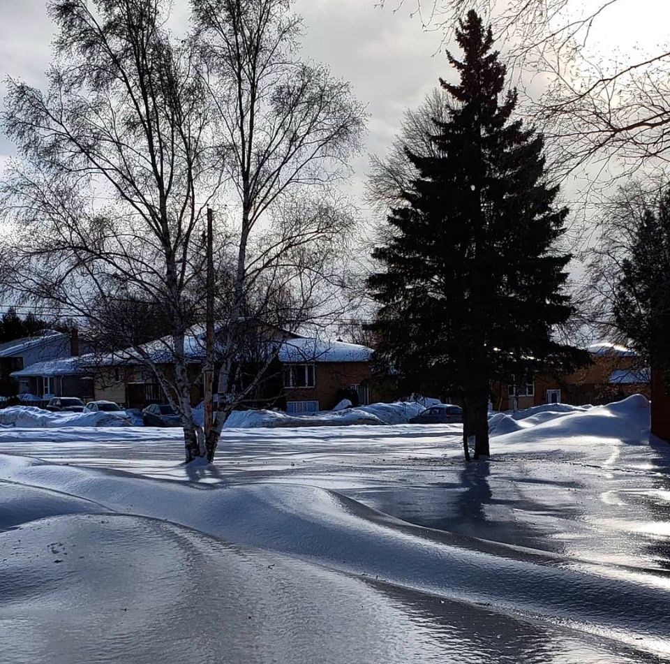 Image of a northeastern Ontario town neighborhood during an ice storm where a film of ice smoothly covers the snow and trees
even the squirrels are  sliding around on the ice 🤭