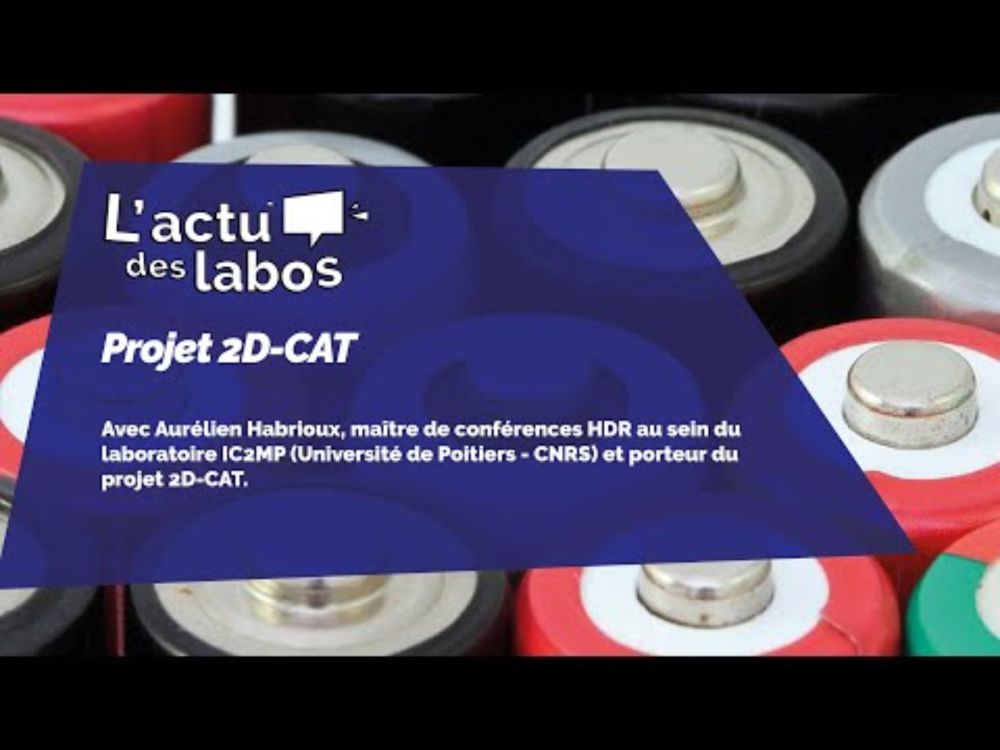 L'actu des labos : le projet 2D Cat