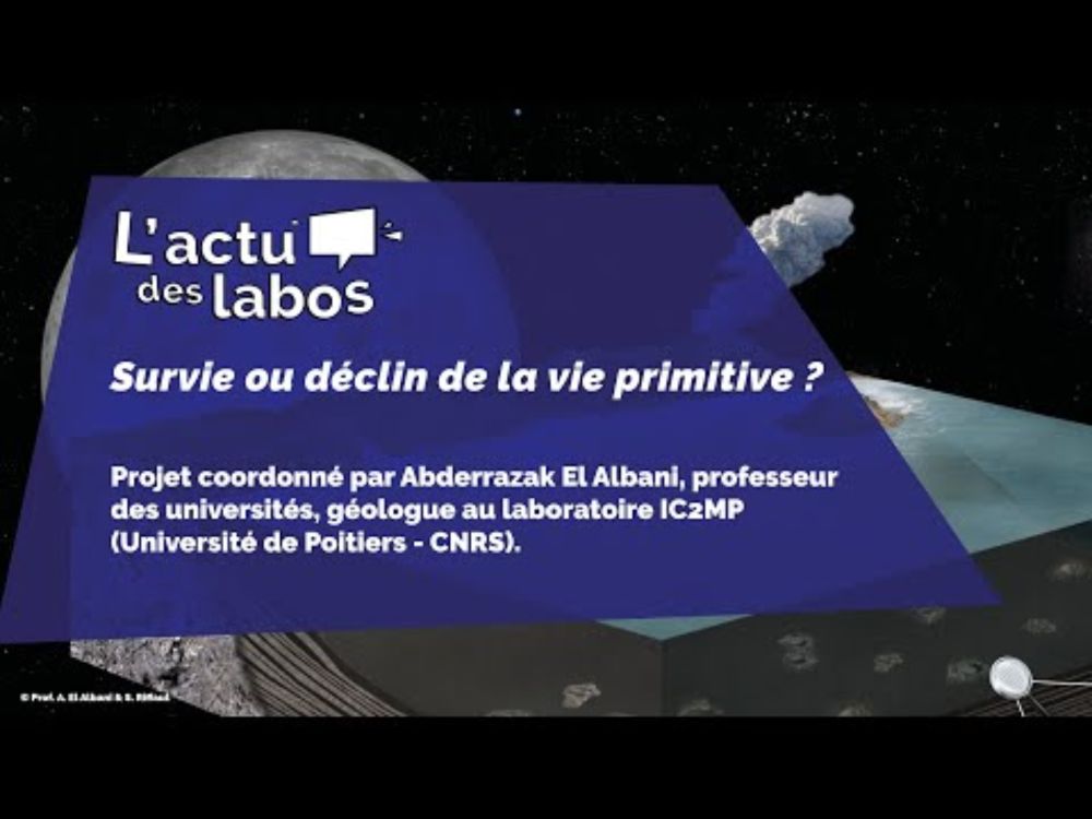 L' actu des labos : Survie ou déclin de la vie primitive?