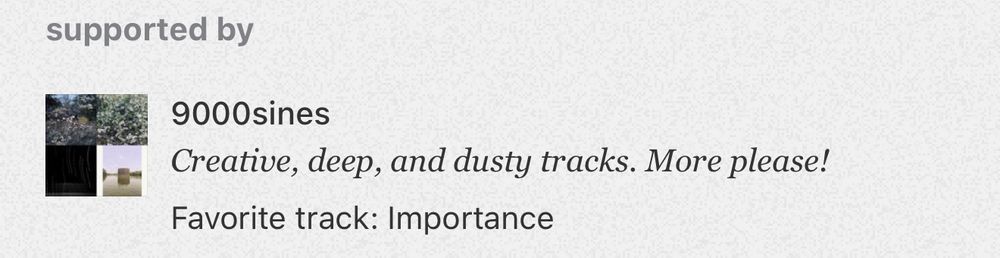 A review on my Bandcamp page that says “Creative, deep, and dusty tracks. more please!”