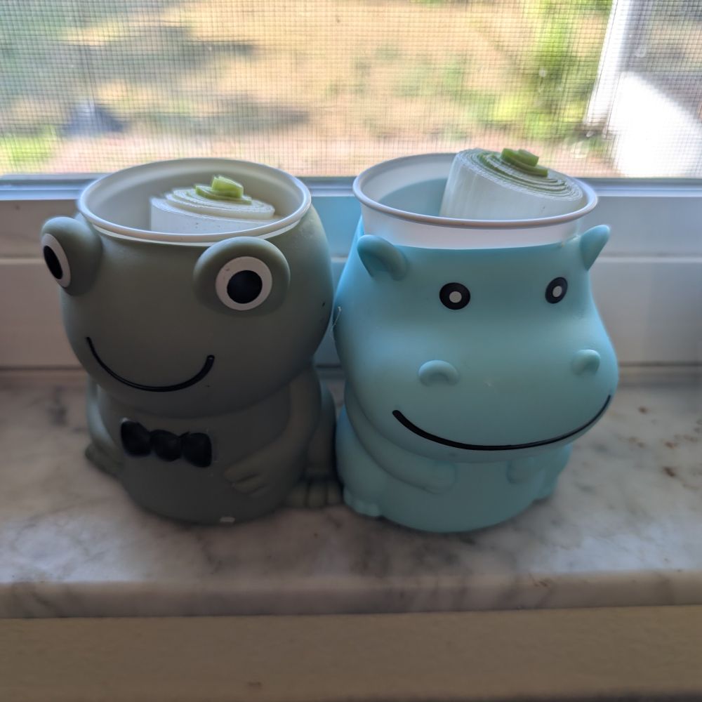 Two small, cute planters with leeks beginning to grow.